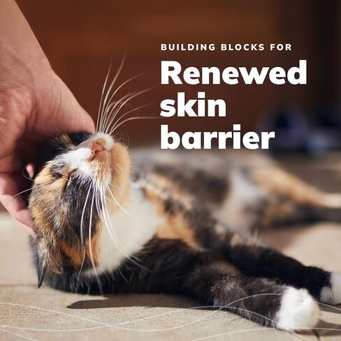 CeraSoothe® KET مطهر فلوش، 16 أوقية in Kuwait