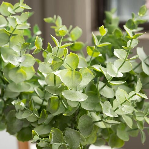 ينبع الأوكالبتوس الاصطناعي في مزهرية سيراميك بيضاء مضلعة، نباتات خضراء واقعية 14 بوصة ترتيبات نباتات صناعية ديكور منزلي قطع مركزية لحفلات الزفاف in Kuwait