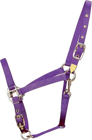 Hamilton 1-Inch Nylon Halter with Adjustable Chin, Blue - Draft Horse Size in Saudi Arabia