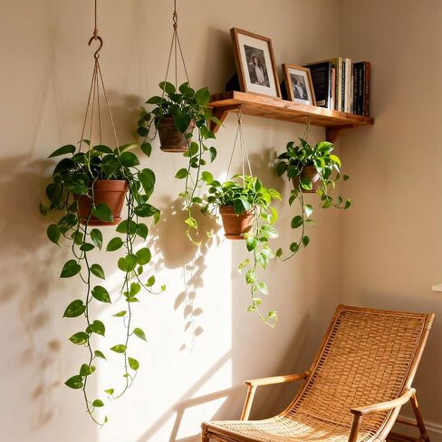2pcs Fake Hanging Plants Artificial Hanging Plant Faux Greenery Vines for Wall Home Bedroom Living Room Indoor Outdoor Office Decor in Kuwait