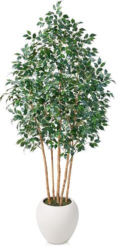 Ficus Tree Artificial - 6Ft Tall Artificial Plants Indoor with White Round Planter - Faux Tree with Natural Wood Trunk and Silk Leaves - Fake Plants for Home Decor,Office,Living Room in Kuwait