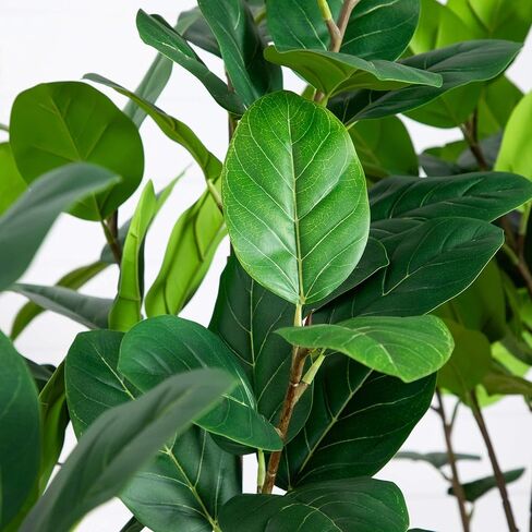 Nearly Natural 6ft. Artificial Audrey Ficus Leaf Tree in White Decorative Planter in Saudi Arabia