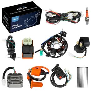 Complete Wiring Harness Kit Compatible with GY6 150cc Engine 152QMI 157QMJ TaoTao Coolster ATV 4-Stroke Dune Buggy Scooter Performance Parts Starter Relay Solenoid Regulator Ignition Coil CDI in Kuwait