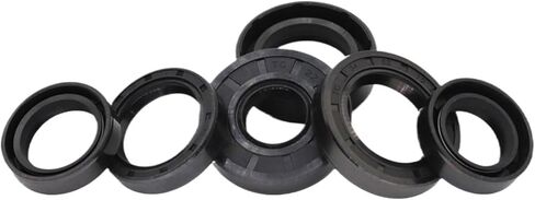 TC 30 31 * 40 41 42 44 45 46 47 48 50 51 52 55 56 58 60 62 65 70 72 85 * 5 6 7 8 9 10 12 المطاط NBR الربيع طوقا الهيكل العظمي النفط الختم (6 قطع 30x65x10) in Kuwait