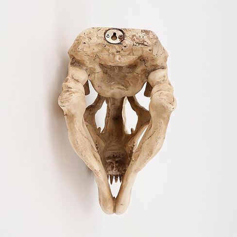 Museum-Quality T-Rex Dinosaur Skull Wall Mount - 3D Resin Replica Decor for Home, Office & Kids Room | Realistic Prehistoric Dinosaur Wall Art in Saudi Arabia