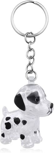 Dog Hair Collector Keychain Charm Pet Memorial Storage Box Bottle Key Chain Memorial Gifts Portable Pet Fur Keyring in Saudi Arabia