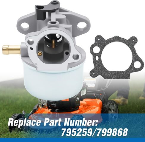 طقم المكربن ​​لاستبدال محرك Toro-GTS 20037 20036 20043 20042 20041 20462 99-6013 6.0HP 1901VC in Saudi Arabia
