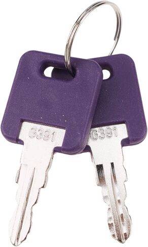 DVPARTS 2X RV Camper Keys G391 Compatible with Global Link Global Link, Fastec, Bauer, Lippert Components RV Standard Baggage Door Locks Purple in Saudi Arabia