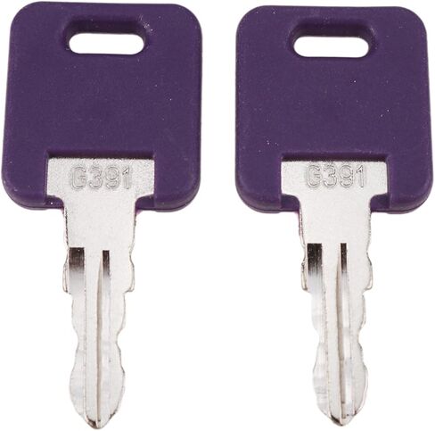 DVPARTS 2X RV Camper Keys G391 Compatible with Global Link Global Link, Fastec, Bauer, Lippert Components RV Standard Baggage Door Locks Purple in Saudi Arabia