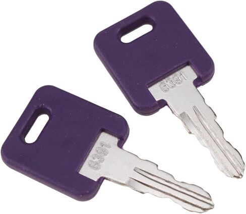 DVPARTS 2X RV Camper Keys G391 Compatible with Global Link Global Link, Fastec, Bauer, Lippert Components RV Standard Baggage Door Locks Purple in Saudi Arabia
