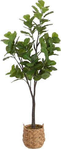 Kate and Laurel Fidmont Faux Fiddle Fig Tree with Livia Woven Basket, 6 FT, Natural Water Hyacinth, Potted Artificial Tree Indoor with Realistic Foliage and Added Moss, Fake Plant for Living Room in Saudi Arabia