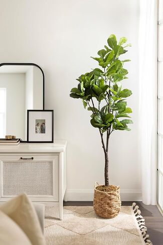 Kate and Laurel Fidmont Faux Fiddle Fig Tree with Livia Woven Basket, 6 FT, Natural Water Hyacinth, Potted Artificial Tree Indoor with Realistic Foliage and Added Moss, Fake Plant for Living Room in Saudi Arabia
