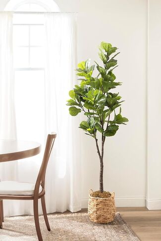 Kate and Laurel Fidmont Faux Fiddle Fig Tree with Livia Woven Basket, 6 FT, Natural Water Hyacinth, Potted Artificial Tree Indoor with Realistic Foliage and Added Moss, Fake Plant for Living Room in Saudi Arabia
