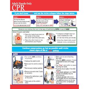 Ursus Enterprises Inc CPR First Aid AED Choking 8.5 x 11 Laminated Reference Chart (Single) in Kuwait