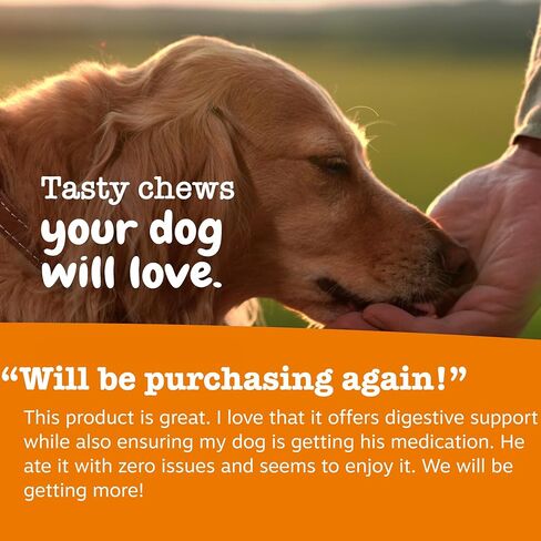 Zesty Paws Pill Wrap Probiotic Paste for Dogs - Immune & Digestive System Support - Bacon Flavor - with DE111 Bacillus subtilis - Pockets Any Pill, Tablet & Capsule for Your Dog - 4.2oz - 60 Portions in Kuwait