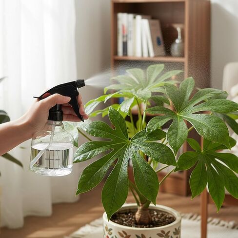 20 Pcs Empty Plastic Spray Bottles 8oz Mini Refillable Spray Bottle with Adjustable Nozzle Black Sprayers Small Spray Bottles with Scale for Cleaning, Hair, Plant, Kitchen in Kuwait