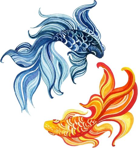 Magnet Pretty Watercolor Koi Fish Painting Magnetic Vinyl Magnet Bumper Sticker (8" Wide, Blue Orange Ying Yang) in Saudi Arabia