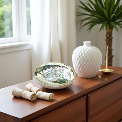 Colorful Large Abalone Shell Bowl 4-4.5 Inch Natural Smudge Bowl for Sage Burning and Incense Sea Shell Smudging Bowl for Decor and Display, Incense Holders in Saudi Arabia