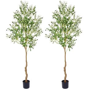 شجرة زيتون صناعية بطول 5 أقدام - نبات حرير شجرة زيتون صناعي طويل القامة داخلي بطول 60 بوصة مع فروع وفواكه لديكور المنزل وغرفة المعيشة والمكتب - عبوتان in Kuwait