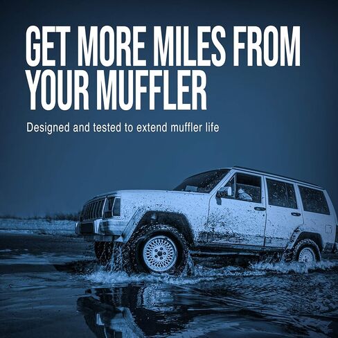 Walker SoundFX 18261 Direct Fit Exhaust Muffler 2.5" Inlet (ID) 2.5" Outlet (ID) for Dodge Dakota in Kuwait