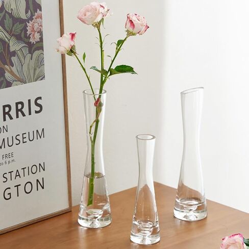 25CM/9.8in Single Bud Glass Vase Hand Made Clear Cylinder Vases Narrow Neck Decorative Glass Bottles for Flowers Centerpieces Wedding Party Home Office Decor in Saudi Arabia