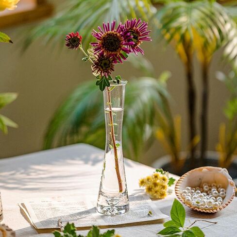25CM/9.8in Single Bud Glass Vase Hand Made Clear Cylinder Vases Narrow Neck Decorative Glass Bottles for Flowers Centerpieces Wedding Party Home Office Decor in Saudi Arabia
