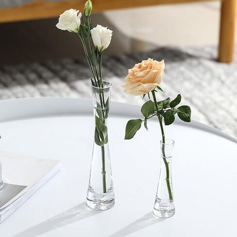 25CM/9.8in Single Bud Glass Vase Hand Made Clear Cylinder Vases Narrow Neck Decorative Glass Bottles for Flowers Centerpieces Wedding Party Home Office Decor in Saudi Arabia