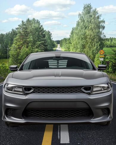 طقم الشبكة الأمامية السفلية المتوافقة مع 2015-2023 دودج تشارجر SRT Scat Pack Daytona، بديل لـ 68417502AA، 68394592AA، 68417505AB in Saudi Arabia