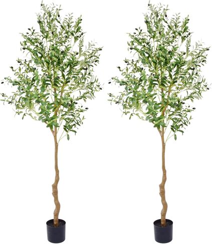 شجرة زيتون صناعية بطول 5 أقدام - نبات حرير شجرة زيتون صناعي طويل القامة داخلي بطول 60 بوصة مع فروع وفواكه لديكور المنزل وغرفة المعيشة والمكتب - عبوتان in Kuwait