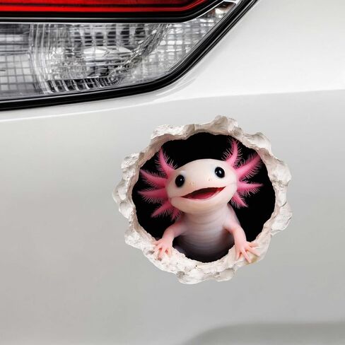 الفقاعات - ملصق قنفذ البحر - ملصق فتحة الحائط بتأثير ثلاثي الأبعاد in Kuwait