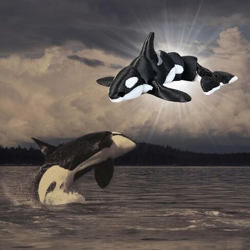 سلسلة مفاتيح Orca مفصلية مطبوعة ثلاثية الأبعاد - Orca Fidget الرائعة - تتضمن سلسلة مفاتيح بمشبك جراد البحر - الحوت القاتل in Saudi Arabia