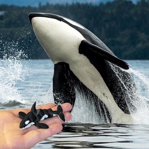 سلسلة مفاتيح Orca مفصلية مطبوعة ثلاثية الأبعاد - Orca Fidget الرائعة - تتضمن سلسلة مفاتيح بمشبك جراد البحر - الحوت القاتل in Saudi Arabia
