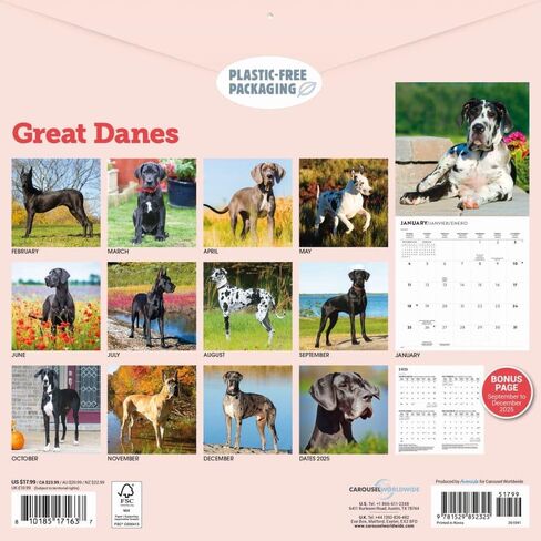 Carousel Calendars, Great Danes 2026 Wall Calendar, 12'' X 12'', 16-Month Calendar with Stapled Binding in Kuwait