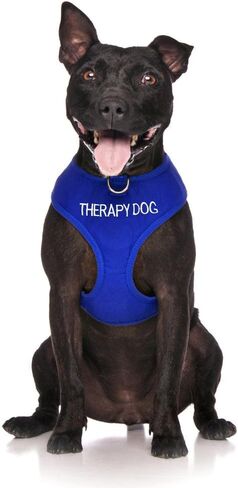 Limited Therapy Dog Blue Color Coded Non-Pull Front and Back D Ring Padded and Waterproof Vest Dog Harness Prevents Accidents by Warning Others of Your Dog in Advance (L) in Saudi Arabia