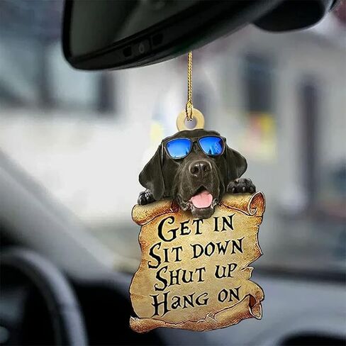 2021 New Cute Dog Two Sided Hanging Ornament with A Treasure Map,Puppy Two Sided Ornament,Get in Sit Down Shut Up Ornament Boston Terrier Lover Gifts for Animal Lover Car Mirror. (D) in Saudi Arabia