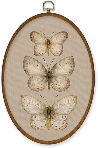 Luipk Vintage Butterfly Oval Wall Art Decor, Rustic Cottagecore Butterfly Canvas Art Framed, Neutral Farmhouse Moth Oval Wall Hanging Decorations for Home Bedroom Living Room Decor, 8.6x11.4in in Saudi Arabia