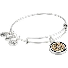 Alex and Ani Women's Carpe Diem Bangle Two Tone Bracelet, Rafaelian Silver, Expandable