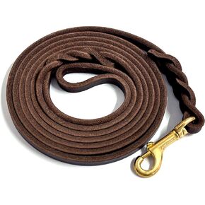 Guiding Star Leather Dog Leash for Small Dogs 6 ft Up to Medium Dogs (1/3 inch Wide, 6 Feet, Brown)