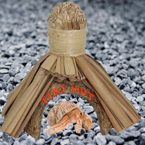 تيكي هت مخبأ ديكور الموائل للحيوانات الأليفة، البرمائيات، سرطان البحر الناسك، ملحق قفص ديكور، 6 بوصات in Kuwait