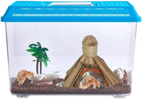 تيكي هت مخبأ ديكور الموائل للحيوانات الأليفة، البرمائيات، سرطان البحر الناسك، ملحق قفص ديكور، 6 بوصات in Kuwait