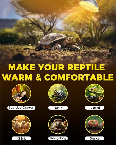 Bonlux 75W Reptile Heat Lamp Bulb,E26 PAR30 Short Neck UVA UVB Bulbs for Reptiles,Dimmable 2700K Warm White Reptile Light Bulb for Bearded Dragon,Turtle,Lizard,Chick in Saudi Arabia