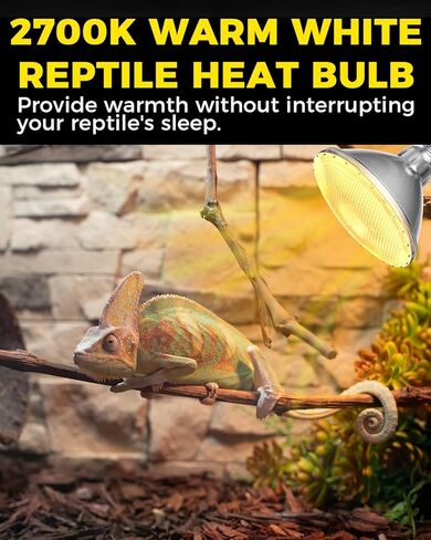Bonlux 75W Reptile Heat Lamp Bulb,E26 PAR30 Short Neck UVA UVB Bulbs for Reptiles,Dimmable 2700K Warm White Reptile Light Bulb for Bearded Dragon,Turtle,Lizard,Chick in Saudi Arabia