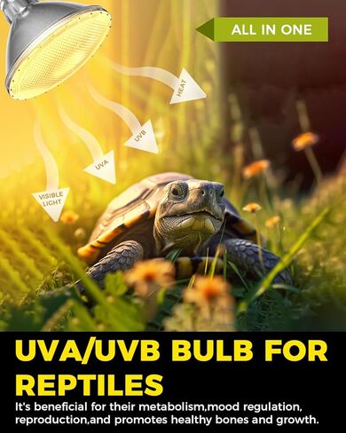 Bonlux 75W Reptile Heat Lamp Bulb,E26 PAR30 Short Neck UVA UVB Bulbs for Reptiles,Dimmable 2700K Warm White Reptile Light Bulb for Bearded Dragon,Turtle,Lizard,Chick in Saudi Arabia