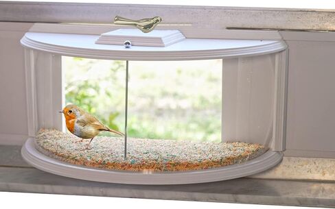 نافذة تغذية الطيور داخل المنزل بزاوية رؤية واضحة 180 درجة، ساعة تغذية الطيور البرية من المنزل، تجربة تغذية الطيور المتينة والآمنة، سهلة الملء in Kuwait