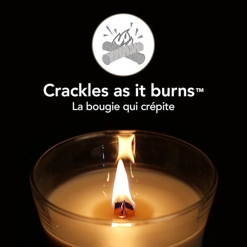 شمعة وودويك إليبس المعطرة، بالفانيليا وملح البحر، 16 أونصة | مدة حرق تصل إلى 50 ساعة in Kuwait