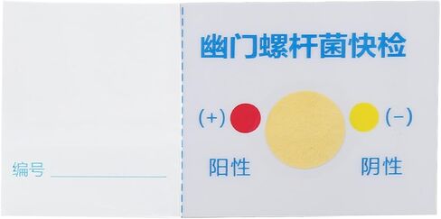 Helicobacter Pylori Test, 10 Piece Home Stool Test Professional Portable H Paper, Quick Results in 1-3 Minutes Gut Health for Family Members, Determine Your Gut, 1.0 Count in Saudi Arabia