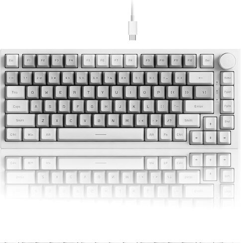 لوحة مفاتيح ميكانيكية سلكية بنسبة 75% من AK820، لوحة مفاتيح ألعاب مثبتة على حشية قابلة للتبديل السريع مع مفاتيح HP مماثلة، 81 غطاء مفاتيح PBT تخطيط باللون الأبيض والرمادي، مقبض مفاتيح الوسائط المتعددة، إضاءة خلفية بيضاء in Kuwait