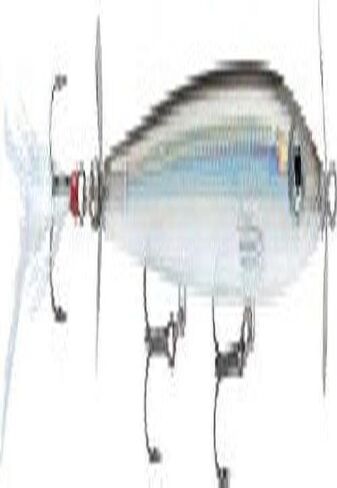 Rapala X-Rap Shad 06 Fishing lure, 2.5-Inch, Perch in Saudi Arabia