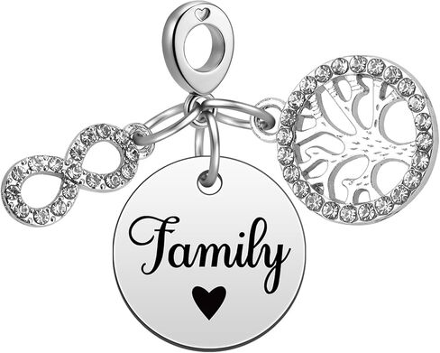 Heigebi Charms for Bracelets and Necklace Beads Dangle Mother's Day Birthday Jewelry Beads Charm for Women Sister Family Friends Daughter Mother Grandma Jewelry Present Stainless Steel Pendant in Saudi Arabia