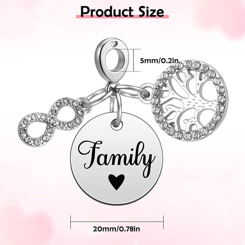 Heigebi Charms for Bracelets and Necklace Beads Dangle Mother's Day Birthday Jewelry Beads Charm for Women Sister Family Friends Daughter Mother Grandma Jewelry Present Stainless Steel Pendant in Saudi Arabia